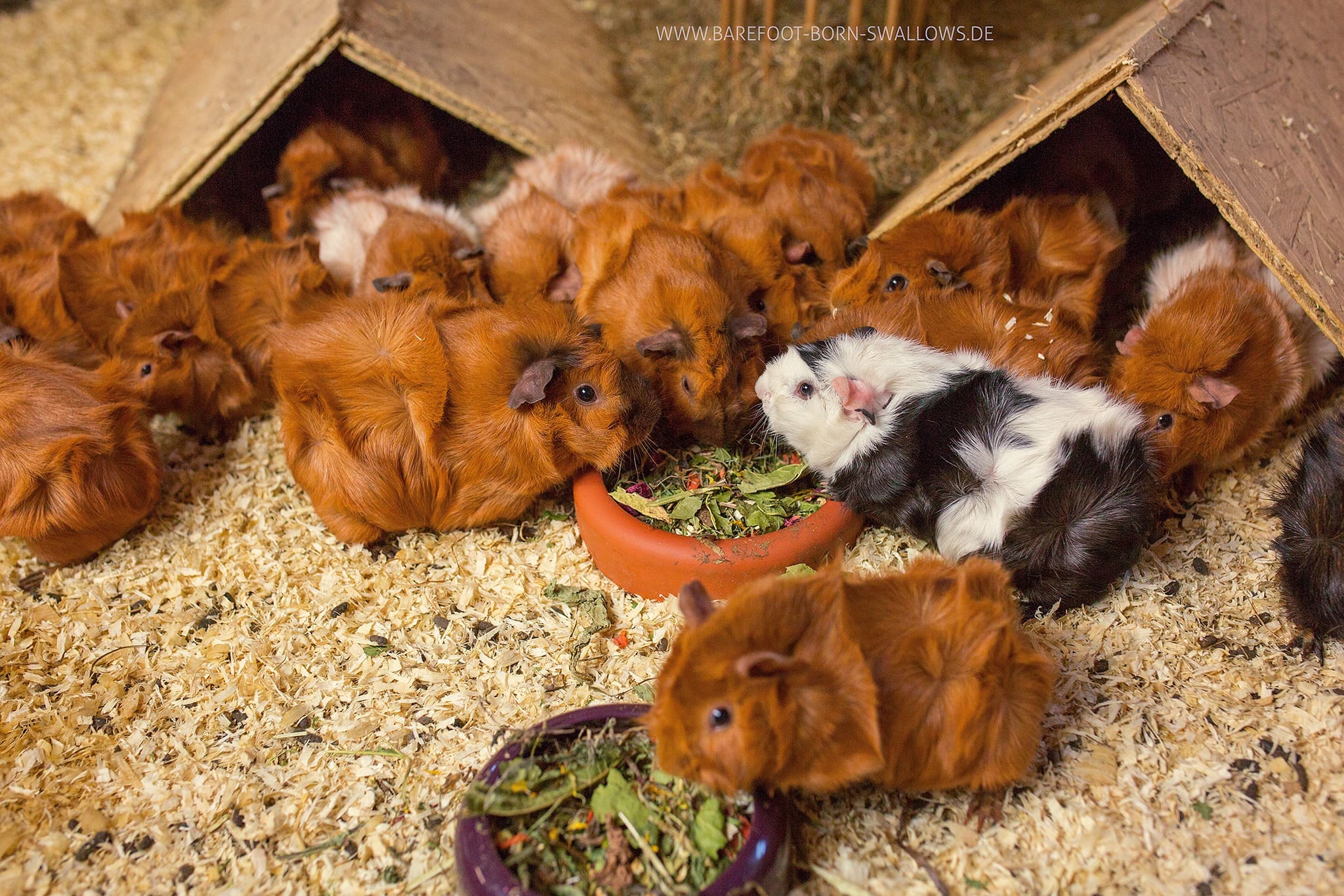 Bewegte Bilder aus dem Alltag Bewegte Bilder aus dem Alltag